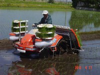 �Ŀ����� 