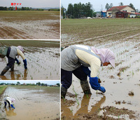 ��ƻ��ü���� 