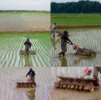 ���������ʵ�������� 