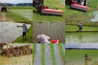 ����Ȥ��襤 