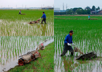 ���������ʵ�������� 