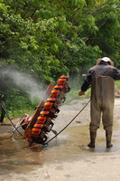 ���𵡤����� 