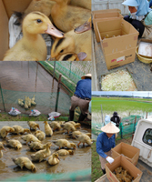 ����Τ����ñۤ� 