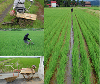 ���Ĺ��ڵ� 