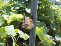 �ϥ����λ���� 