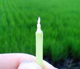 ������֤����Ǥ� 