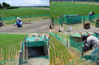 �����ˡ�ν��� 