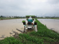 �ߤΤ�ݥåȼ����Ŀ����Ǥ��� 