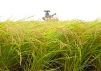 ���⿧�˼¤�ޤ����� 