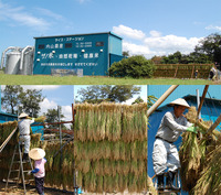 ���ơ�ī��פΤϤ��ݤ� 