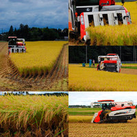 �������֤��ΰ𴢤� 