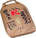 ̯��Թ�ʻ��ǰ�� 