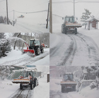 �ԡ������ʥ������꡼���㵡�ˤǽ��� 