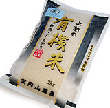 ��ͭ��JASǧ���Ƥ����Ҥ���٣����������� 