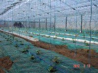 ���奦����꿢 