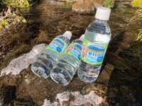 TATESHINA WATERȬ٤ή˥ܥȥ󥰡 