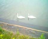 �Ĥ��������ɤ��� 