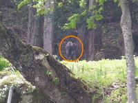 �֤��ݤβս꤬���� 