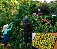 �ߤμ¡����� 