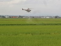 �饸����إ�ˤ���ɽ� 