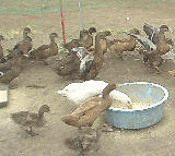 ��ͤ����������⤿�� 