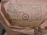 1���ơ������ҥ��� 