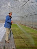 䤯١ˣĤΤο桢ǤĤ䤱ƤޤΤǡѤǤ