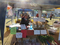 �Ť��Ƥ��������Ǥ��衪 