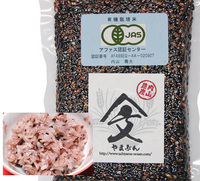 28ǯ������ ���㸩�� �ֹ��ơ�ī��ס�ͭ�������ơ�����ơ� 