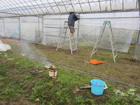 �������䤿�����ˤ� 