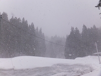 ������θ��Ϥ���ʴ����� 