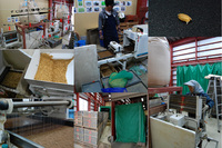 �����ޤ����ż�� 