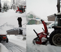 �ԡ������ʥ������꡼���㵡�ˤǽ��� 