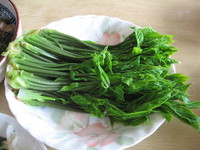 �������֥�Τ���������꤬���Ф餷���� 