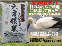 �Ŀ������¤Ǥ� 