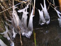 ��ϩ�ΤĤ�� 