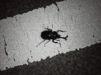 �뤯�ʤä��Τǡ������� 