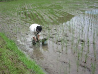 �Τ��Ŀ�������٤�гڡ��� 