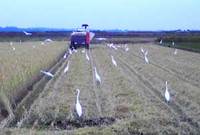 �����Υ쥹�ȥ��� 