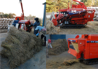 ���Ƥ�æ�� 