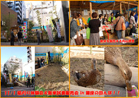 �𴢤��θ�������ƻ����� in ��¤��Ĥ�� 