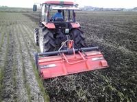 �Ĥ�������äƤޤ� 