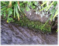 ���դο��� 