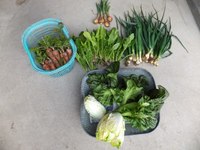 ��ڤ����� 