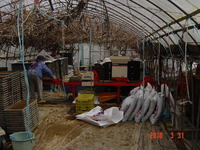 ���Ф�����������äơ� 