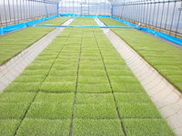 �ϥ������� 