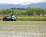 �ɤ�ɤ��Ŀ�����ʤ�ޤ� 