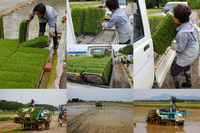 �ı��Ӥ��Ŀ��� 