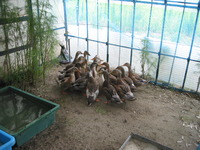 ����ο��� 