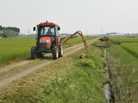 ��ƻ���𴢤� 